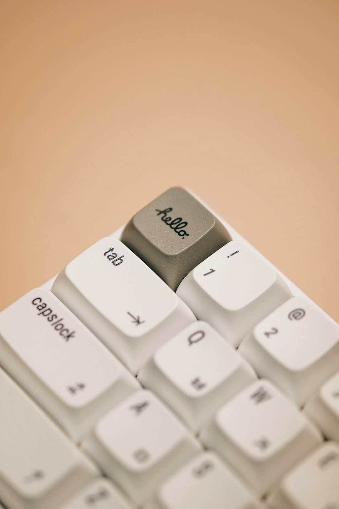 用户头像